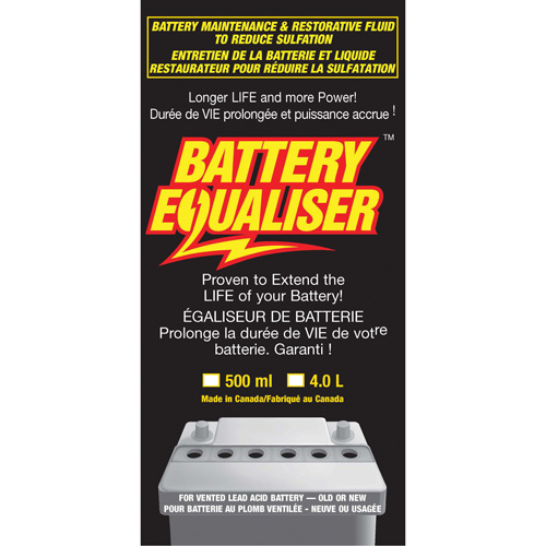 Battery Equalizers Auto Electric Service Ltd.