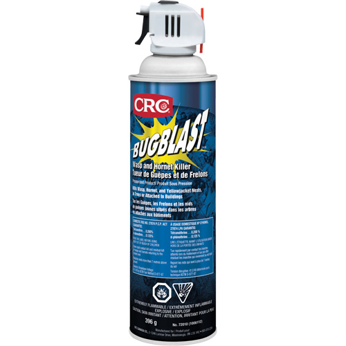 Insecticide Bug Blast, 397 g, &agrave; base de solvant Auto Electric Service Ltd.