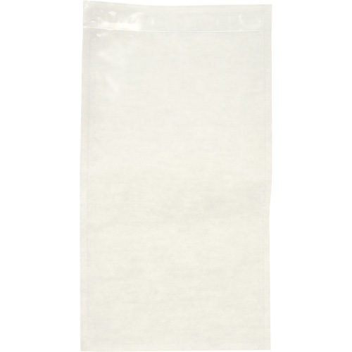 Non-Printed Packing List Envelope, 10" L x 5-1/2" W, Endloading Style Auto Electric Service Ltd.