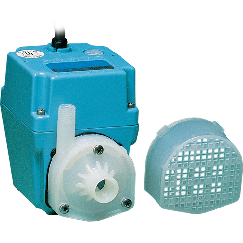 Pompes &agrave; double usage, 1/40 CV, 300 gal./h, 115 V, 1,7 A Auto Electric Service Ltd.