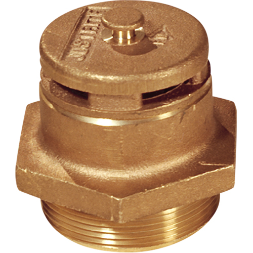 Vertical Vents Auto Electric Service Ltd.
