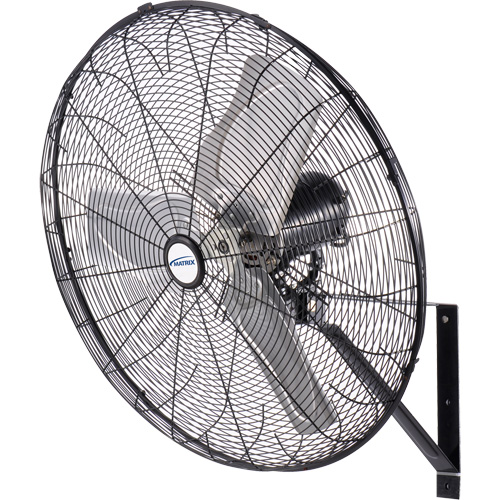 Waterproof Motor Misting & Oscillating Pedestal Fan, Industrial, 3 Speed, 30" Diameter Auto Electric Service Ltd.