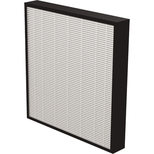 V&eacute;ritables filtres HEPA AeraMax Pro AM3 & AM4 2", Boîte, 13,75" la x 2,25" p x 14,38" h Auto Electric Service Ltd.