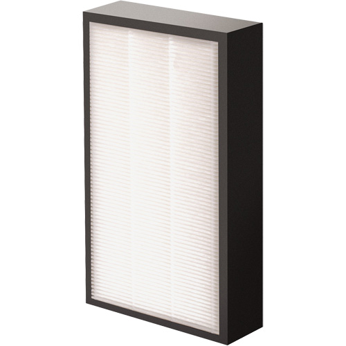 AeraMax&reg; Pro AM2 1-3/4" True HEPA Filter, Box, 7.38" W x 1.88" D x 12.88" H Auto Electric Service Ltd.