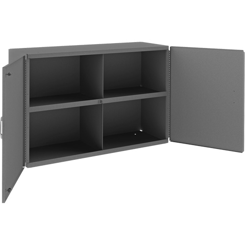 Wall-Mountable Cabinet, 24" H x 33-13/16" W x 12-3/8" D, 1 Shelves, Steel, Grey Auto Electric Service Ltd.