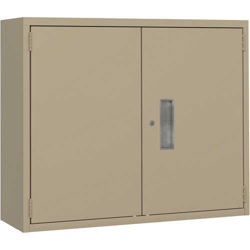 Wall Mounted Cabinet, Steel, 2 Shelves, 30" H x 36" W x 12" D, Beige Auto Electric Service Ltd.