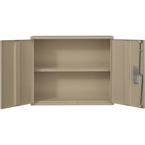 Wall Mounted Cabinet, Steel, 2 Shelves, 30" H x 36" W x 12" D, Beige Auto Electric Service Ltd.
