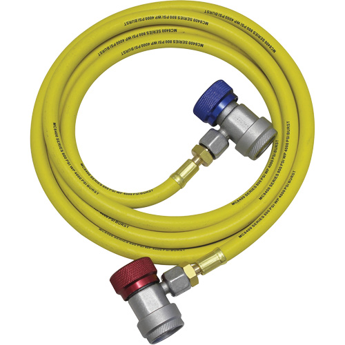 Ensemble flexible de rinçage pour syst&egrave;me de climatisation R134a Auto Electric Service Ltd.