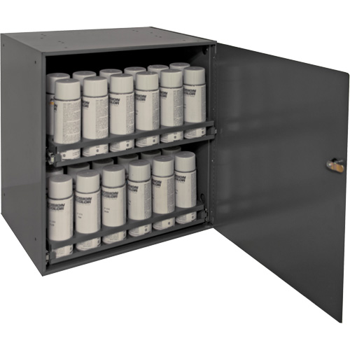 Armoire de rangement pour contenants a&eacute;rosol, Acier, 21-7/8" h x 15-15/16" la x 20-5/16" P, Gris Auto Electric Service Ltd.