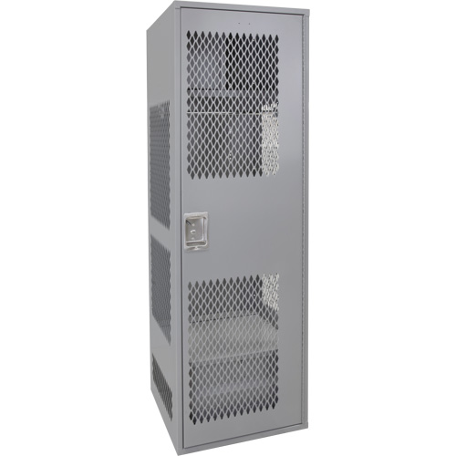 Casier pour &eacute;quipement avec porte, Acier, 24" la x 24" p x 72" h, Gris Auto Electric Service Ltd.