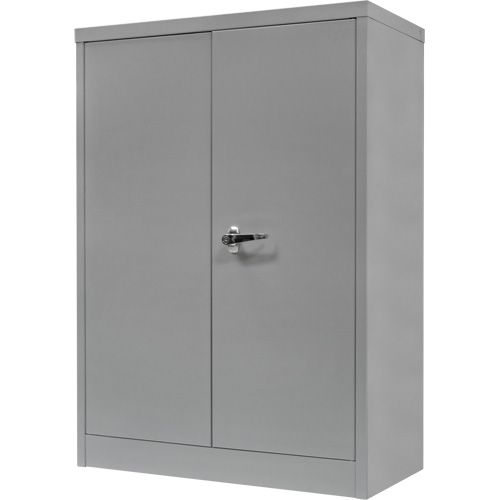 Counter-High Storage Cabinet, Steel, 2 Shelves, 42" H x 30" W x 15" D, Grey Auto Electric Service Ltd.