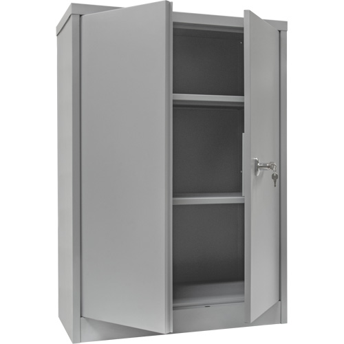 Counter-High Storage Cabinet, Steel, 2 Shelves, 42" H x 30" W x 15" D, Grey Auto Electric Service Ltd.