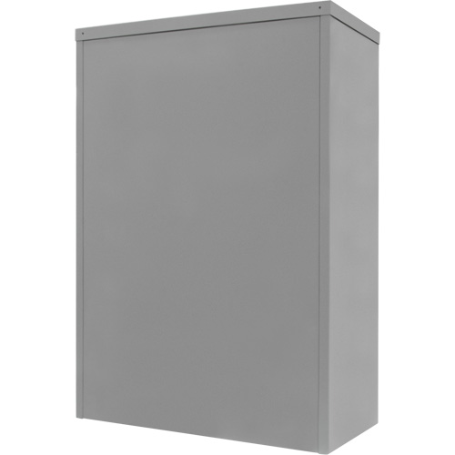 Counter-High Storage Cabinet, Steel, 2 Shelves, 42" H x 30" W x 15" D, Grey Auto Electric Service Ltd.