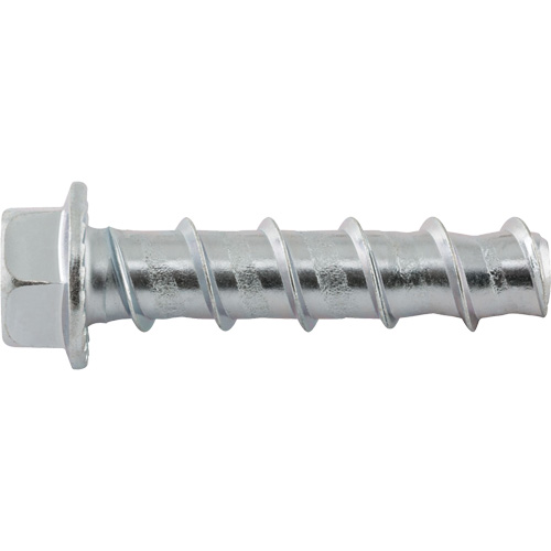 Wedge Bolts, Carbon Steel, 1/2" x 2-1/2" Auto Electric Service Ltd.