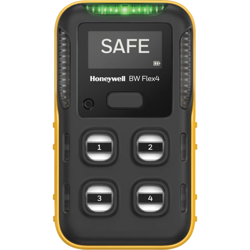 BW Flex Portable Multi-Gas Monitor, 2 Gas, NO2 - CO Low Auto Electric Service Ltd.
