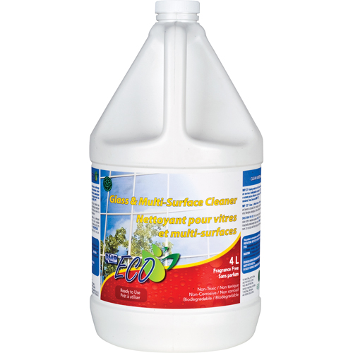 Nettoyant pour vitres & pour toutes surfaces, 4 L, Cruche Auto Electric Service Ltd.
