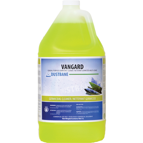 Nettoyant germicide d'usage g&eacute;n&eacute;ral Vangard, 5 L, Cruche Auto Electric Service Ltd.