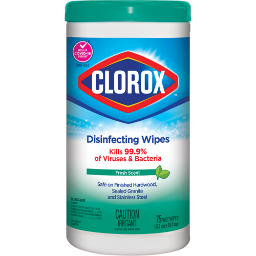 Disinfecting Wipes, 75 Count Auto Electric Service Ltd.