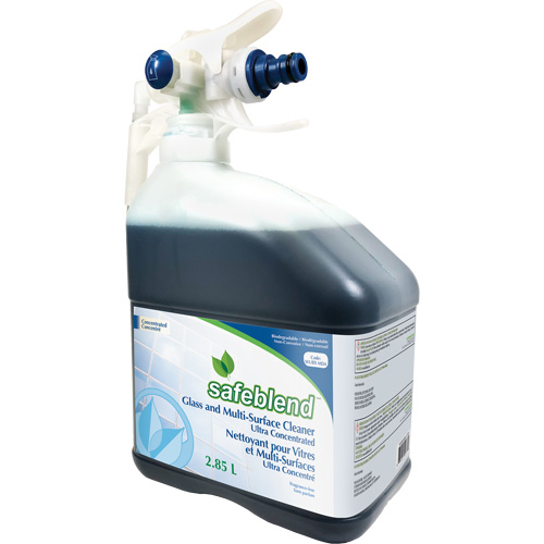 Nettoyant concentr&eacute; multisurfaces et pour le verre, 2,85 l, Bouteille Auto Electric Service Ltd.