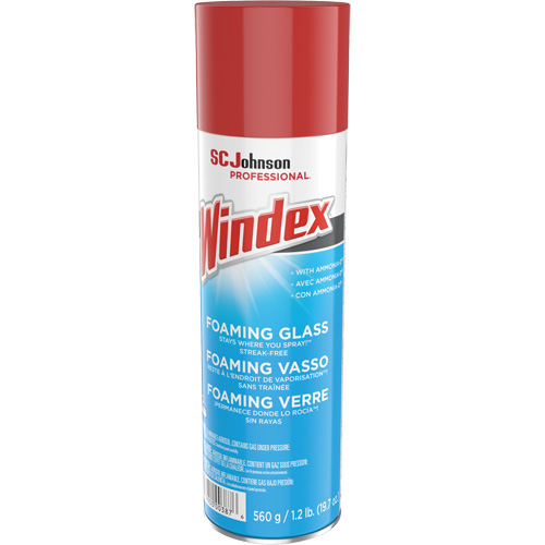 Nettoyant moussant pour vitres Windex, 560 g, Canette a&eacute;rosol Auto Electric Service Ltd.