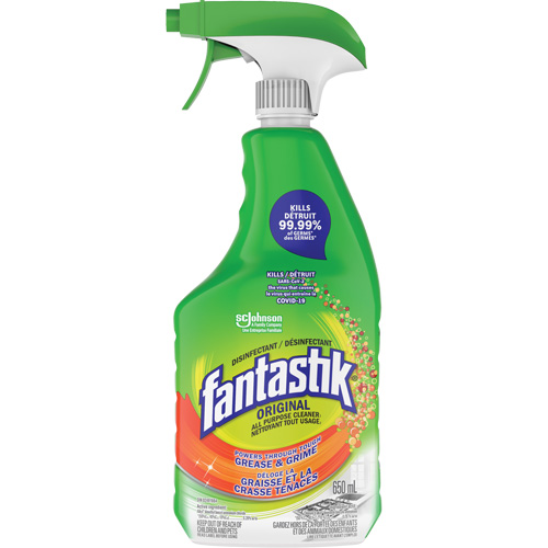 D&eacute;sinfectant nettoyant polyvalent Fantastik, 650 ml, Bouteille &agrave; g&acirc;chette Auto Electric Service Ltd.