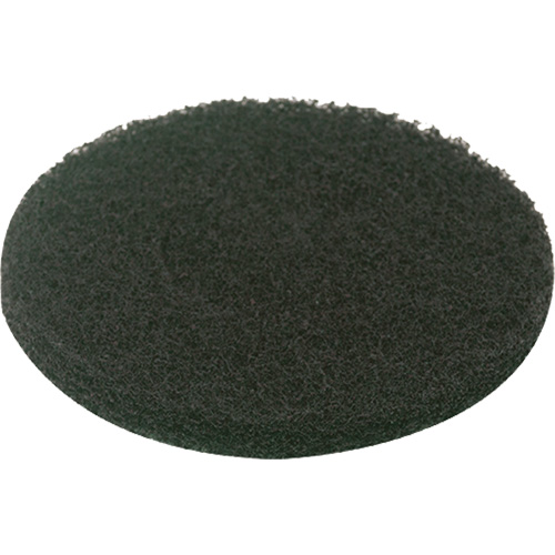 Floor Pad, Scrubbing, Green Auto Electric Service Ltd.