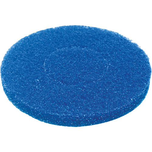 Tampon pour plancher, Nettoyage, Bleu Auto Electric Service Ltd.