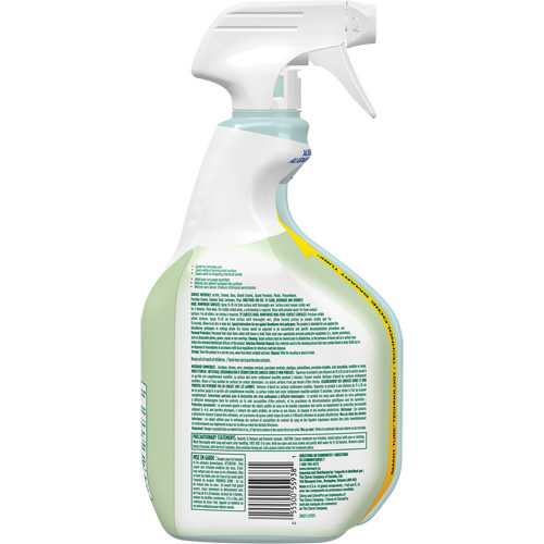 Nettoyant d&eacute;sinfectant CloroxPro Clorox EcoClean, 946 ml, Bouteille &agrave; g&acirc;chette Auto Electric Service Ltd.