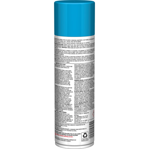 Nettoyant tout usage Pro Line Crazy Clean, 19 oz., Canette a&eacute;rosol Auto Electric Service Ltd.