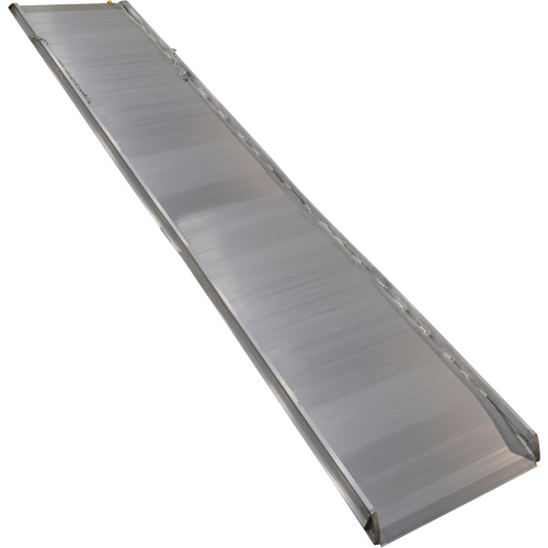 Rampe de promenade en aluminium, Capacit&eacute; de 1000 lb, 38" la x 193-1/8" lo Auto Electric Service Ltd.