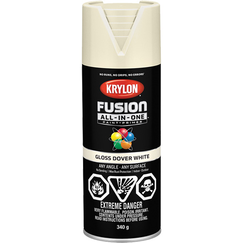 Fusion All-In-One Spray Paint, Dover White, Gloss, 12 oz., Aerosol Can Auto Electric Service Ltd.