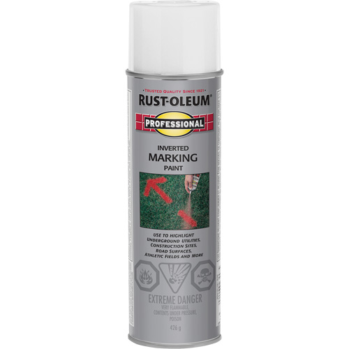 Peinture de marquage renvers&eacute; en a&eacute;rosol, 426 g, Canette a&eacute;rosol Auto Electric Service Ltd.