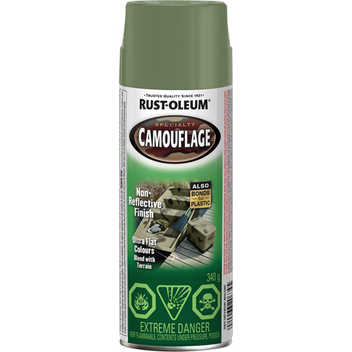 Peinture de camouflage Sp&eacute;cialit&eacute;, Canette a&eacute;rosol, Brun terre Auto Electric Service Ltd.