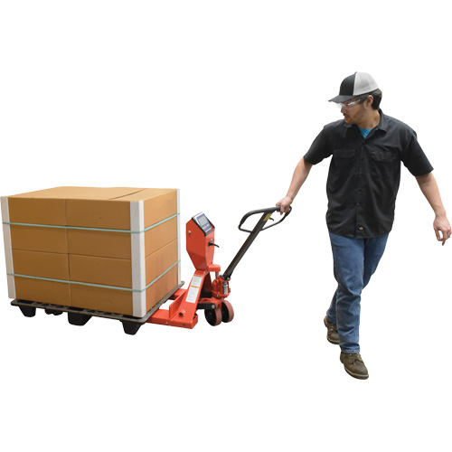 Transpalette, 48" lo x 27,5" la, Capacit&eacute; de 5000 lb Auto Electric Service Ltd.