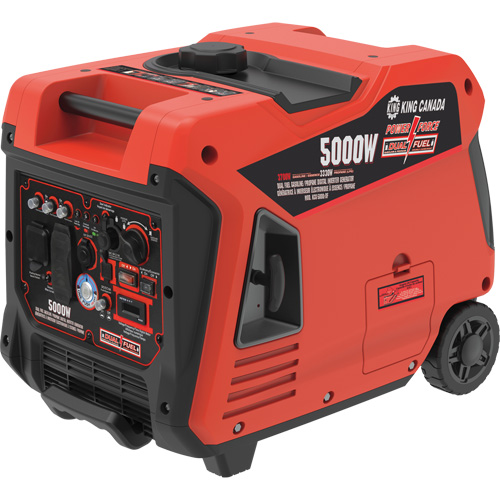 Dual Fuel Gasoline/Propane Inverter Generator Auto Electric Service Ltd.