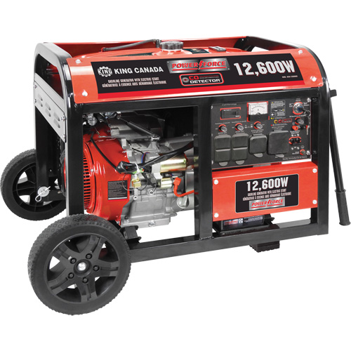G&eacute;n&eacute;ratrice &agrave; essence &agrave; d&eacute;marreur &eacute;lectrique, 12600 W de surtension, 9000 W nominale, 120 V/240 V, R&eacute;servoir de 31 L Auto Electric Service Ltd.