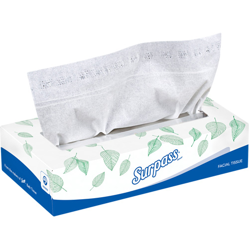Surpass&reg; Facial Tissue, 2 Ply, 8.3" L x 7.8" W, 100 Sheets/Box Auto Electric Service Ltd.