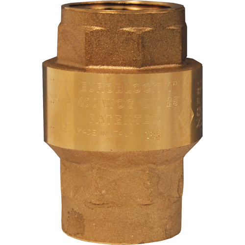 Spring-Loaded Check Valve Auto Electric Service Ltd.
