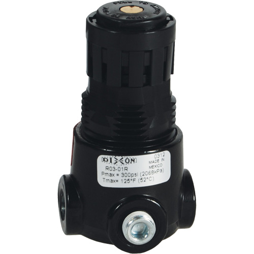 R&eacute;gulateur miniature R03 Wilkerson, 1/8" NPT, PSI max. de 300 psi, Standard Auto Electric Service Ltd.