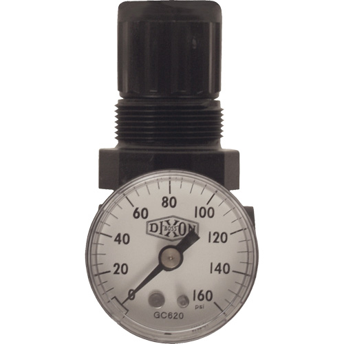 R&eacute;gulateur miniature de s&eacute;rie 1, 1/8" NPT, PSI max. de 100 psi, Standard Auto Electric Service Ltd.