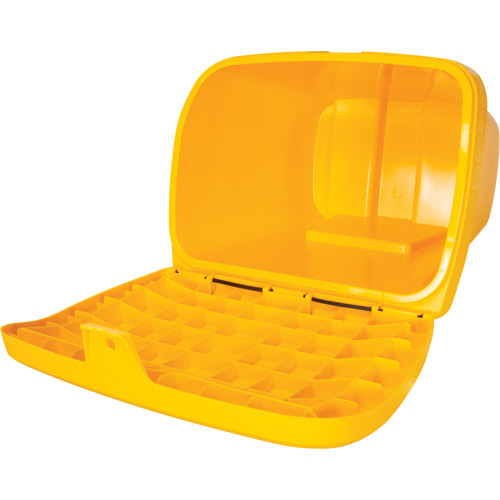 Bacs d'entreposage pour sel & sable, Avec Moraillon, 21" x 27" x 26", 4,24 pi³, Jaune Auto Electric Service Ltd.