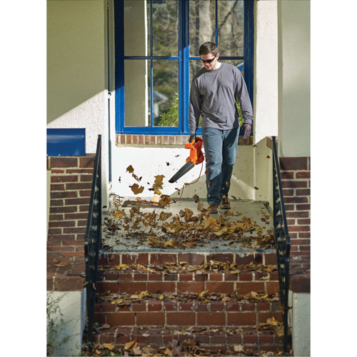 Leaf Blower, 180 MPH Output, Electric Auto Electric Service Ltd.