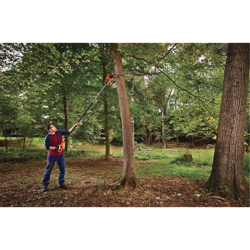 2-in-1 Pole Chainsaw Auto Electric Service Ltd.