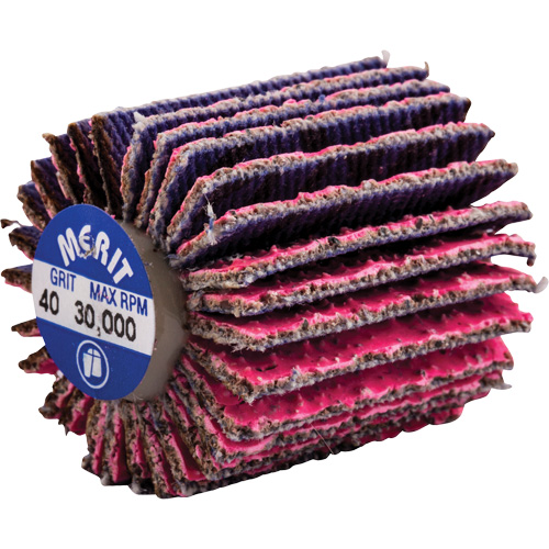 Mini-meule &agrave; lamelles filet&eacute;es, C&eacute;ramique d'alumine, Grain 40, 1" x 1" x 1/4"-20 Auto Electric Service Ltd.