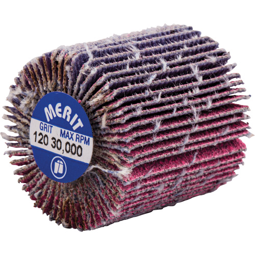 Mini-meule &agrave; lamelles filet&eacute;es, C&eacute;ramique d'alumine, Grain 120, 1" x 1" x 1/4"-20 Auto Electric Service Ltd.