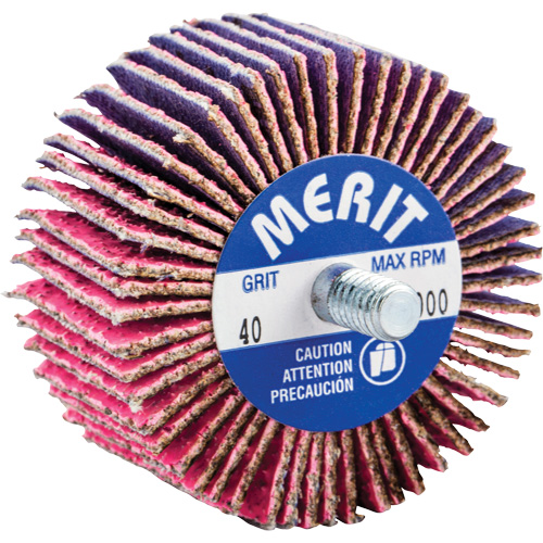 Mini-meule &agrave; lamelles filet&eacute;es, C&eacute;ramique d'alumine, Grain 40, 2" x 1" x 1/4"-20 Auto Electric Service Ltd.