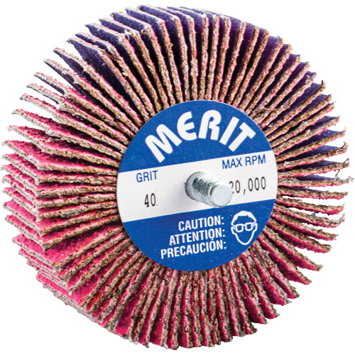 Threaded Mini Flap Wheel, Ceramic Alumina, 40 Grit, 3" x 1" x 1/4"-20 Auto Electric Service Ltd.