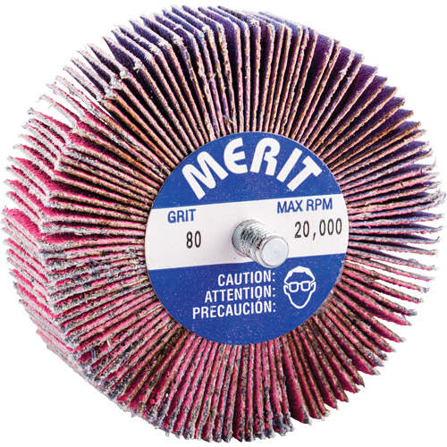 Threaded Mini Flap Wheel, Ceramic Alumina, 80 Grit, 3" x 1" x 1/4"-20 Auto Electric Service Ltd.