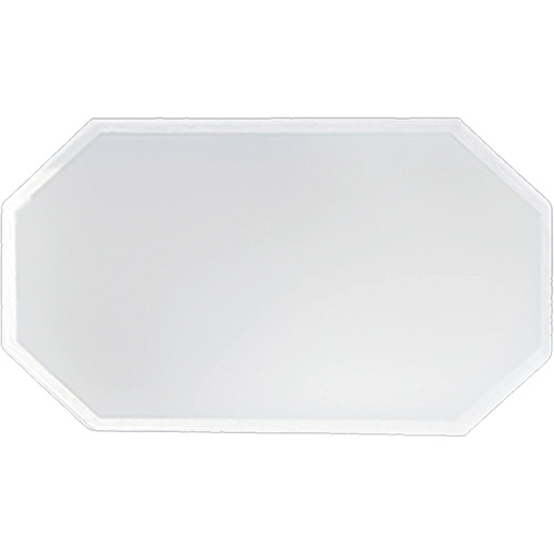 Replacement Plastic Shield for Suction & Pressure Cabinets Auto Electric Service Ltd.