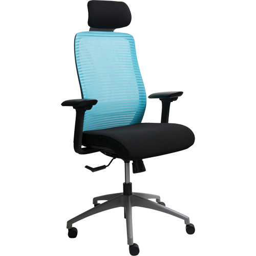 Chaise de bureau ajustable s&eacute;rie Era avec appui-t&ecirc;te, Tissu/Mailles, Bleu, Capacit&eacute; 275 lb Auto Electric Service Ltd.